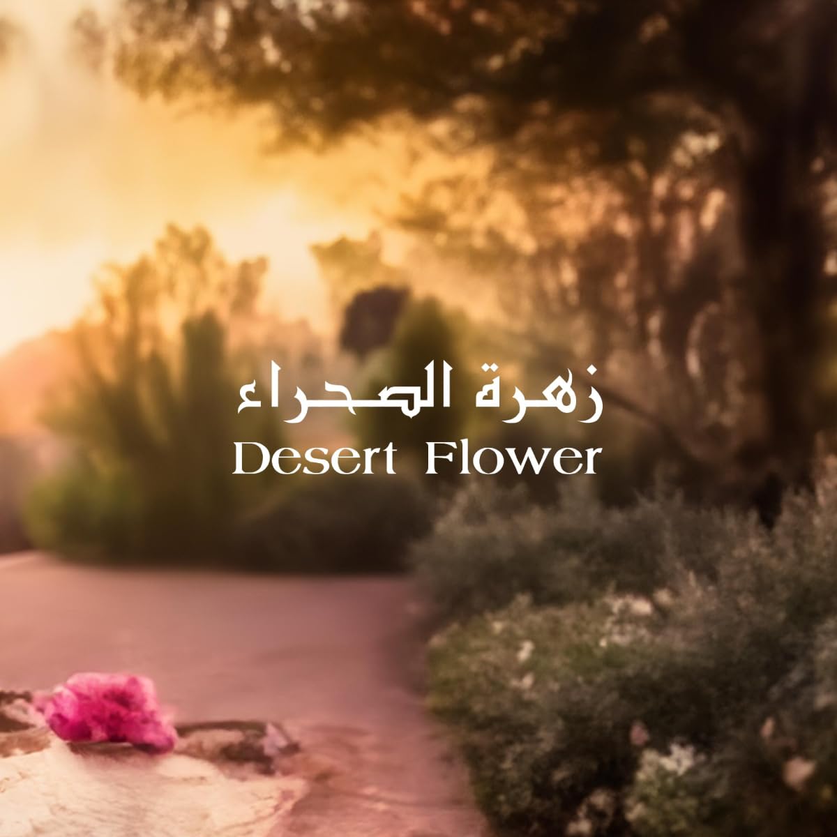 Desert Flower For ARMAF Eter Eau de parfum 100 ml