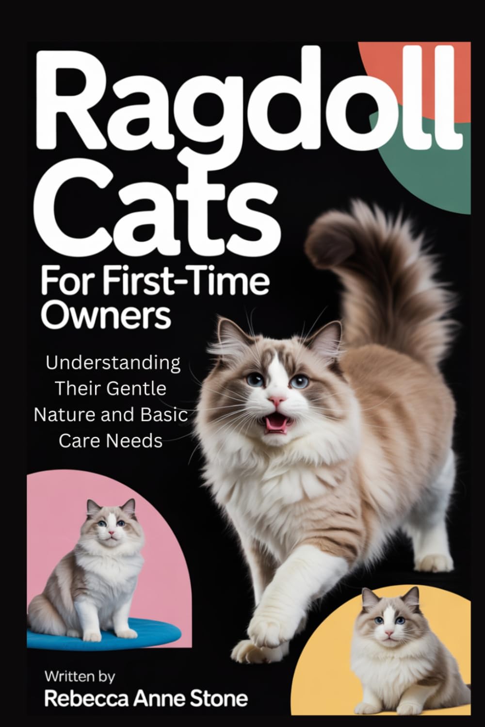 Ragdoll Cats for First-Time Owners: Understanding Their Gentle Nature and Basic Care Needs