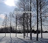 MUSIC FOR SAUNA REPETITION