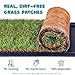 Fresh Patch Real Grass Patch for Dogs, Cats, and Small-Medium Pets Under 15 Pounds – Disposable Pet Grass Pee Pads – Indoor and Outdoor Potty Training Mat (16 Inches x 24 Inches)