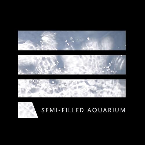 Cover of EP 'Semi-filled Aquarium' by MOYOGI music band