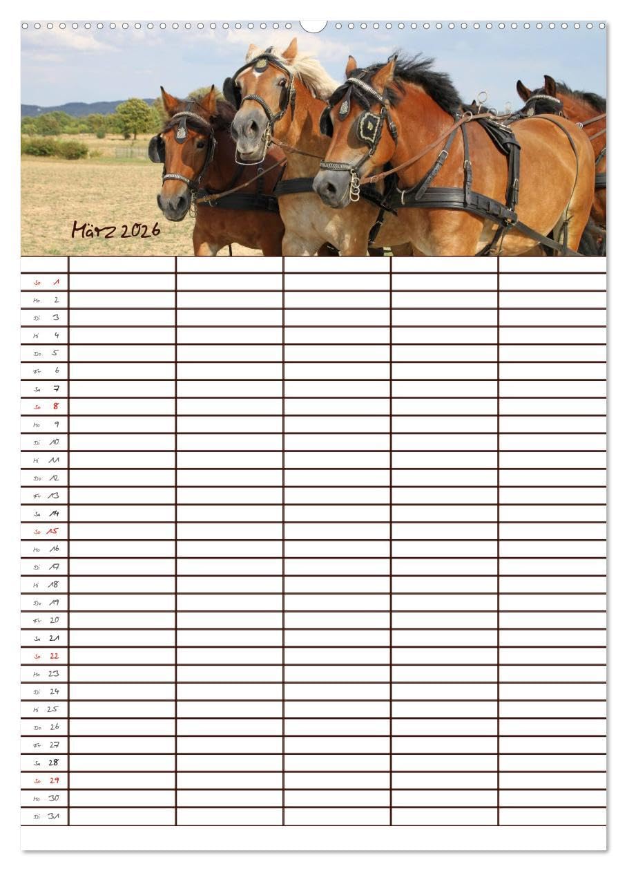Der Kaltblut-Familienplaner (Wandkalender 2026 DIN A2 hoch), CALVENDO Monatskalender: Der Kaltblutkalender für die ganze Familie (CALVENDO Tiere)