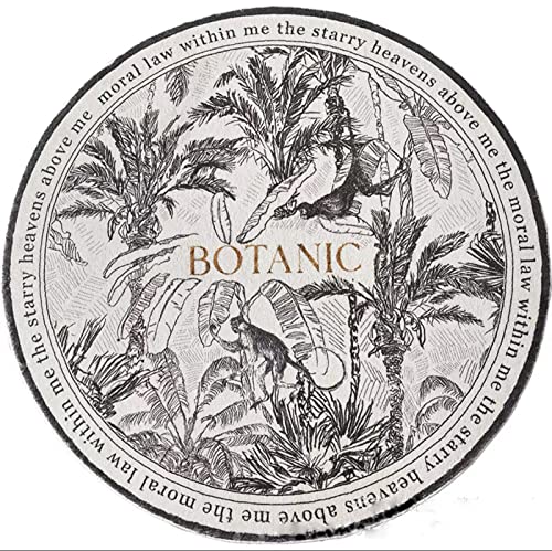 Risareyi Teppich Runder Grauer Polyesterteppich Waschbar rutschfeste Nordic Wohnzimmer Couchtisch Bodenmatte, Geeignet Runder Teppich für Wohnzimmer Küche Flur Eingangsbereich Inoor & Outdoor, Ø 80cm Cover