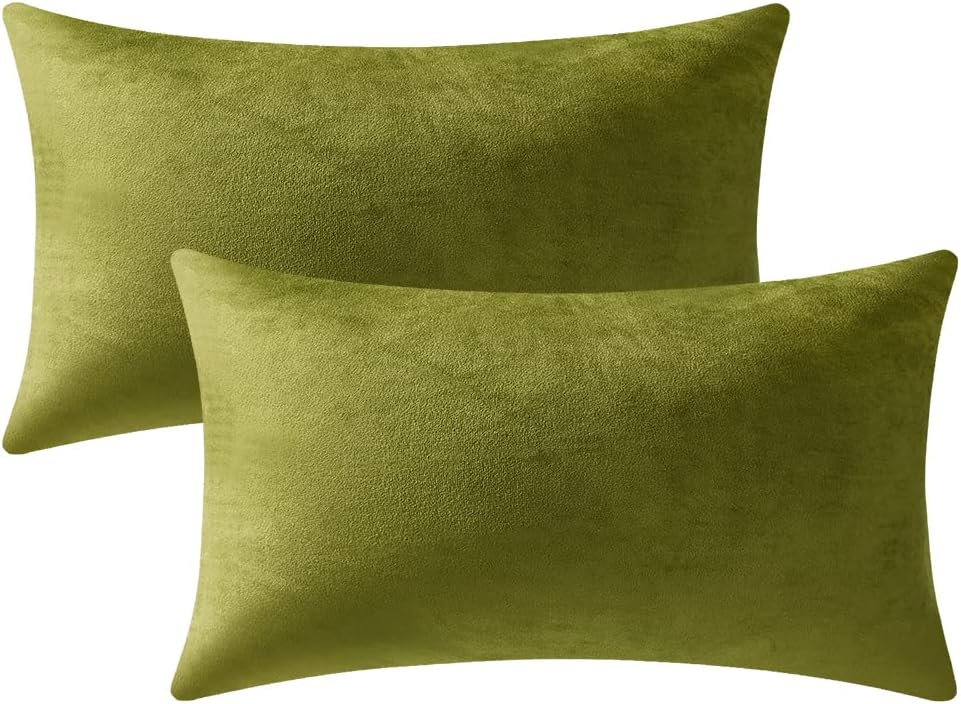 Fundas de almohada 2 piezas acogedoras fundas de almohada decorativas de terciopelo suave para decoración del hogar - Imagen 219 de 271