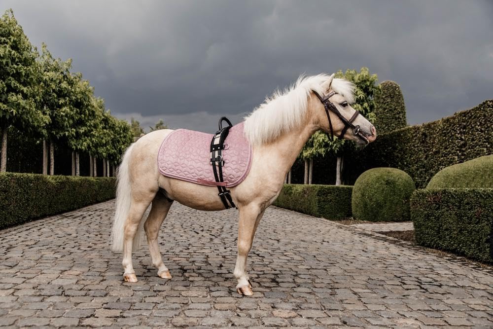 Tapis de selle PONY Vieux rose Velours Saut d'obstacles