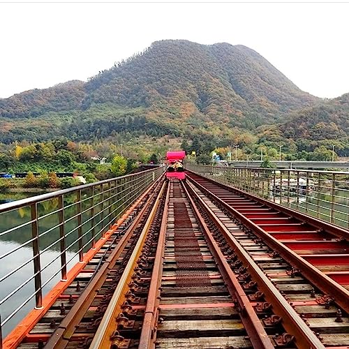 Dando el Tour por la Provincia de Gapyeong en Corea del Sur, Isla Nami, Petite France y mucho m&aacute;s