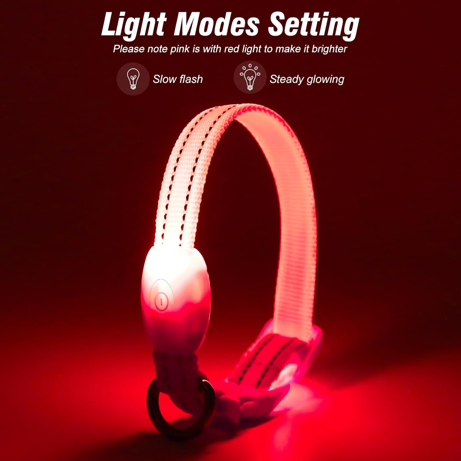 Illuminate Your Night Walks: The Ultimate Review of Visinite LED Dog Collars