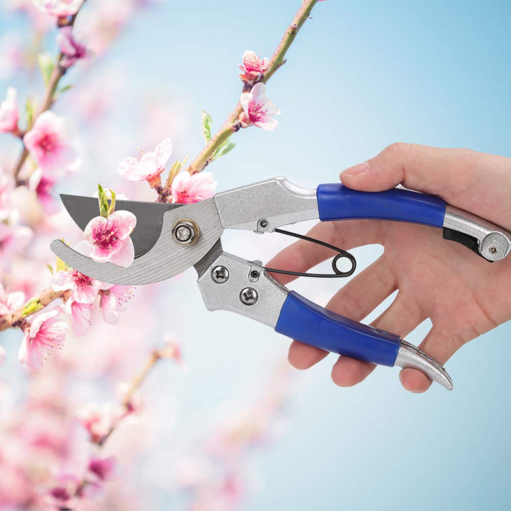 Gartenschere, Gartenschere Edelstahl-Baumschere Pflanzenbaumzweig Blumenschere Werkzeuge Baumschere für die Gartenarbeit Arbeitssparendes Werkzeug