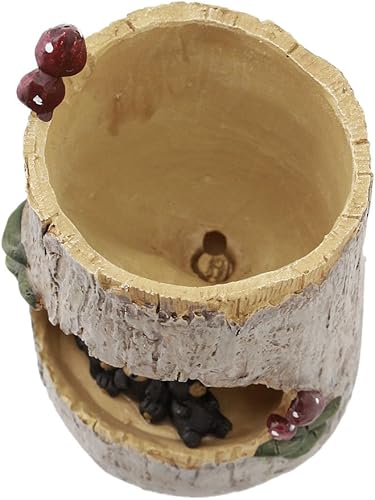 Vista 25 de Segreto Macetas creativas con agujeros de drenaje, jarrón de resina para decoración del hogar para suculentas, flores, cactus, decoración de Erizo