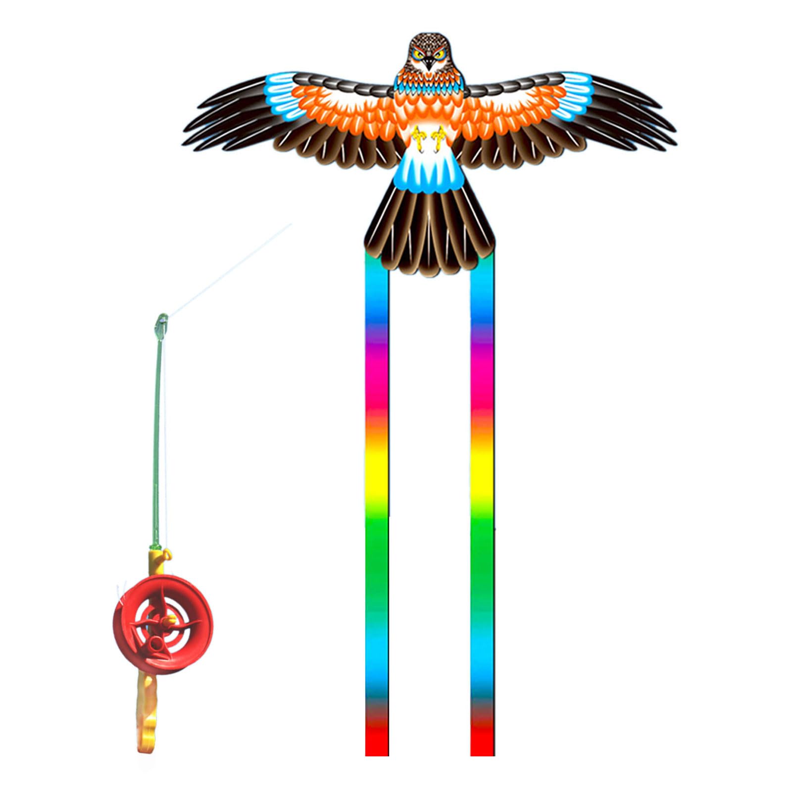 View 5
