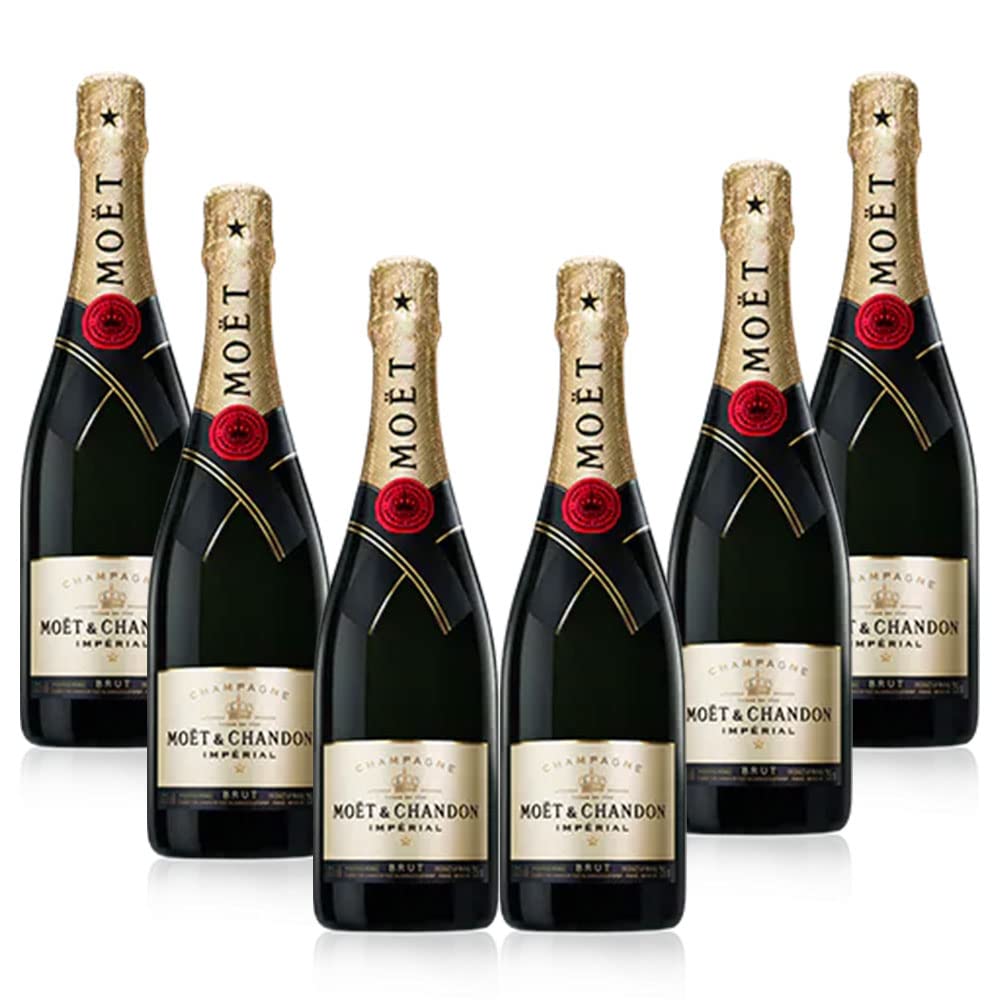 MOËT & CHANDON モエ・エ・シャンドン ブリュット 白 750ml - その他