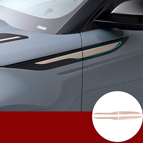 YIWANG Adhesivo de cubierta de marco de guardabarros lateral exterior cromado ABS para Land Rover Evoque L551 2019 2020 Accesorios de coche (rosa