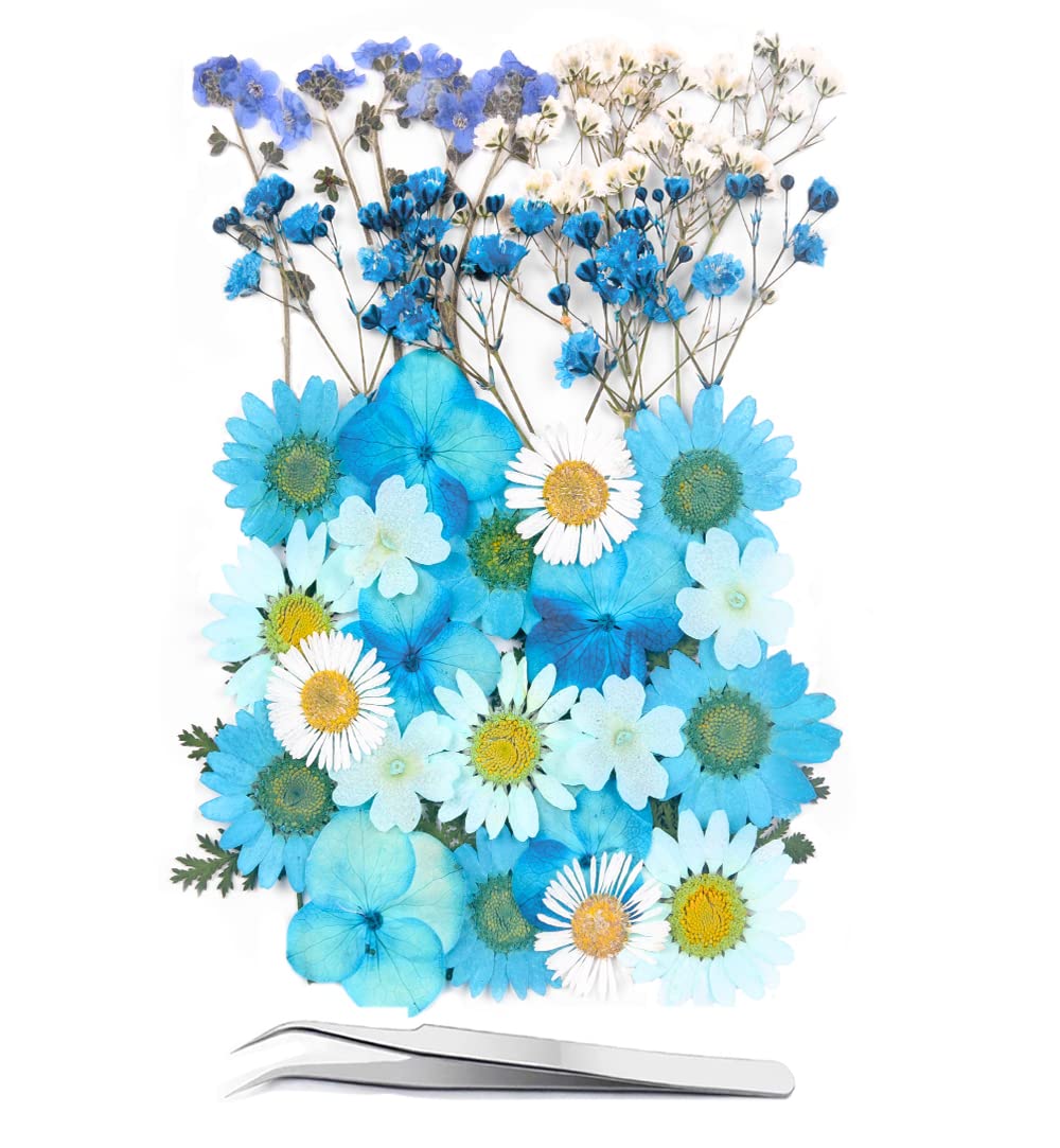 Blue Dried Pressed Flowers for Resin Molds,Real Natural Pressed Flowers for DIY Art Crafts,Candle Making, Nails Décor,Soap Making, Phone Case