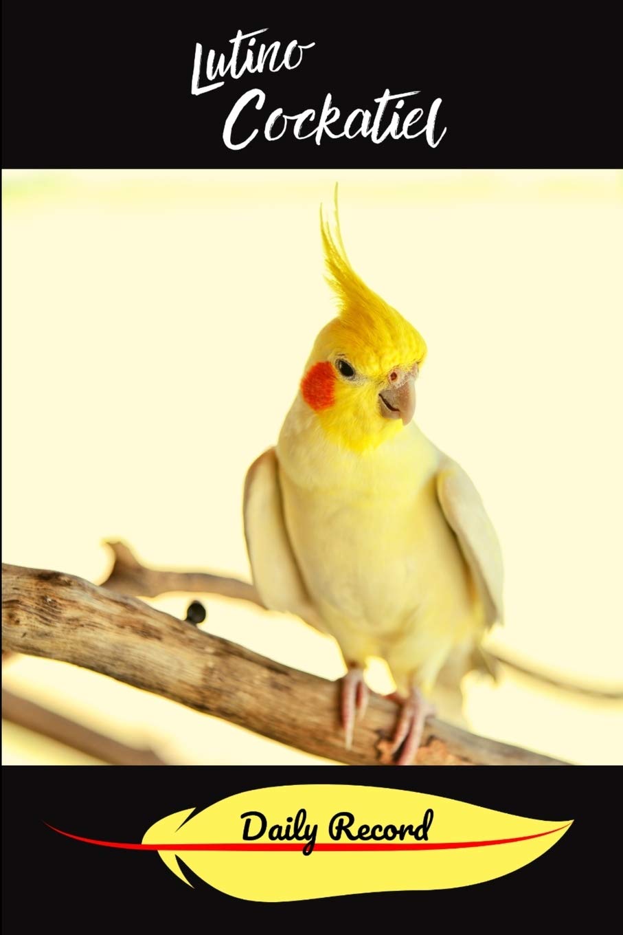 cockatiel bird for sale in india