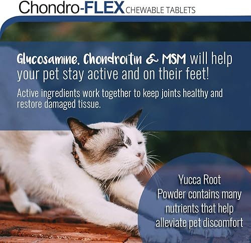 Miniatura 3 de Chondro-Flex - Potente fórmula para el cuidado de las articulaciones para perros y gatos, máximo apoyo nutricional, glucosamina, condroitina, MSM,