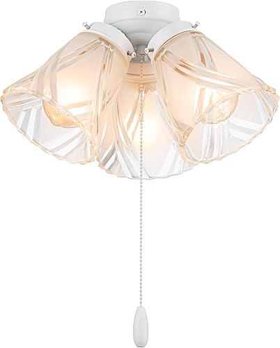 Miniatura 9 de Aspen Creative 22012-1, kit de luces para ventilador de techo de tres luces con cadena de tracción, acabado negro mate con pantallas de vidrio