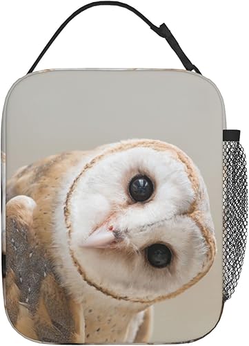 Miniatura 2 de Bolsa de almuerzo con diseño de búho de granero, lonchera aislada para comida, contenedor de alimentos para escuela, trabajo, picnic, viajes