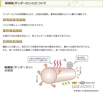 銅 ネオバランサーバンド DNB-Lサイズ he072.jpg