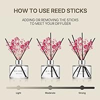 Vista 4 de COCODOR - Difusor con flores reales preservadas, aceite de perfume de rosa y varillas de junco, de 6,7 onzas (200 ml), decoración para el hogar