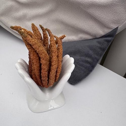 Miniatura 6 de Soporte para Plantas de Aire Lindo Soporte de Cerámica Mini en Forma de Mano Plantas de Aire Tillandsia Contenedor Pequeño Maceta Planta Decorativo