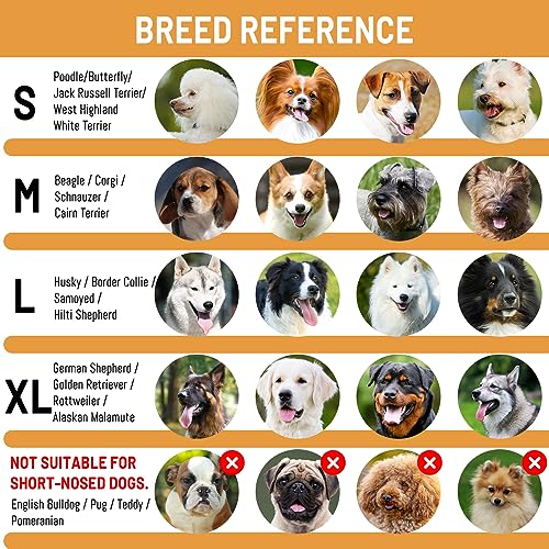 Maulkorb für Große Hunde, FainFun Silikon Maulkorb Mittlere Hunde, Hundemaulkorb Stoff, Verstellbare Schlaufe, Verhindert Bellen, Beißen und Kauen(L)