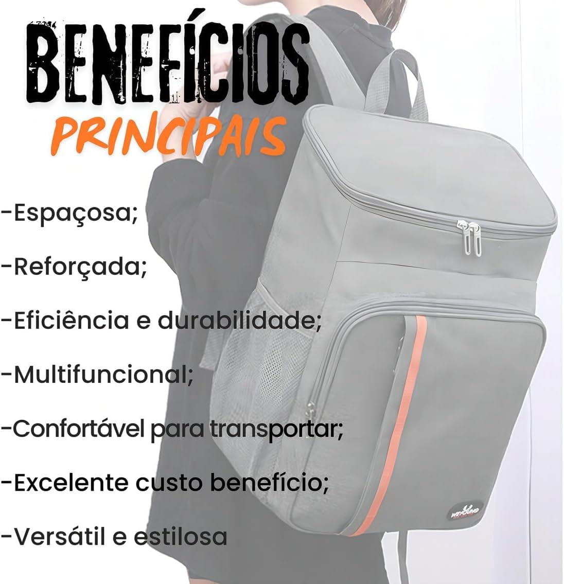 Mochila Térmica 23 L Bag Cooler Impermeável Reforçada para Marmita, Cerveja Gelada, Viagem, Praia, Academia e Trabalho Bolsa Térmica Masculina e Feminina Portátil Premium