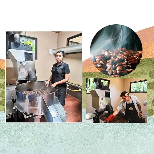 Miniatura 8 de Cafe Monteverde Café de proceso natural en grano entero - Café arábica de Costa Rica de origen único (1 libra)