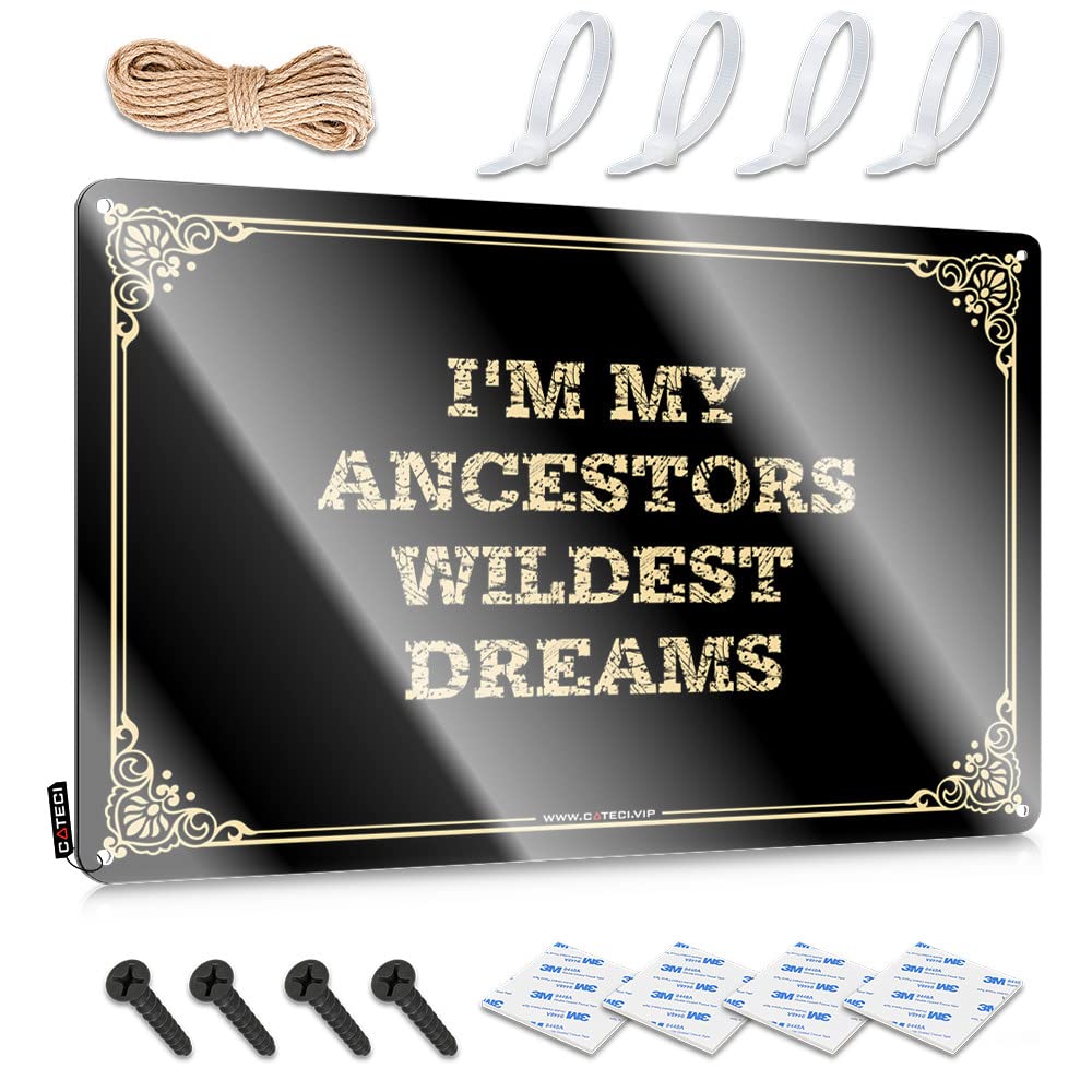 MGHTLCCME Funny Coffee Signs I'M My Ancestors Wildest Dreams Tin Sign Bedroom Door Decor Coffee Tin Sign(20X30CM)