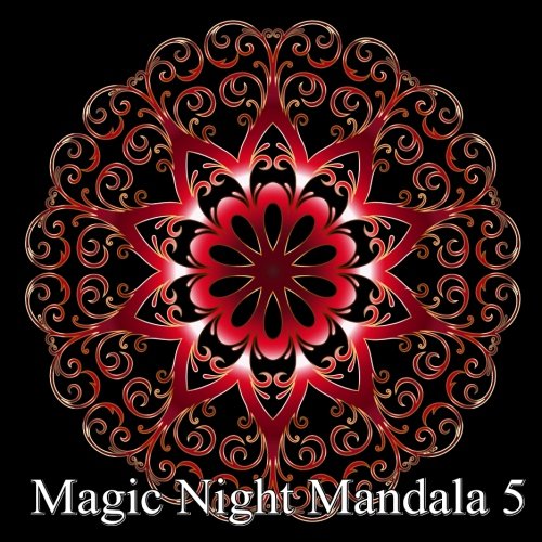 Amazon.com: Adult Coloring Book: Magic Night Mandala 5: Coloring Book