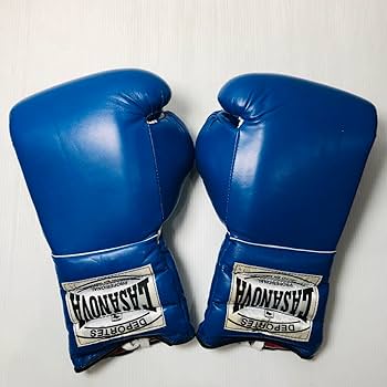 未使用 メキシコ製 casanova カサノバ ボクシンググローブ 14オンス Amazon.co.jp: ノーブランド品メキシコ製casanovaカサノバ