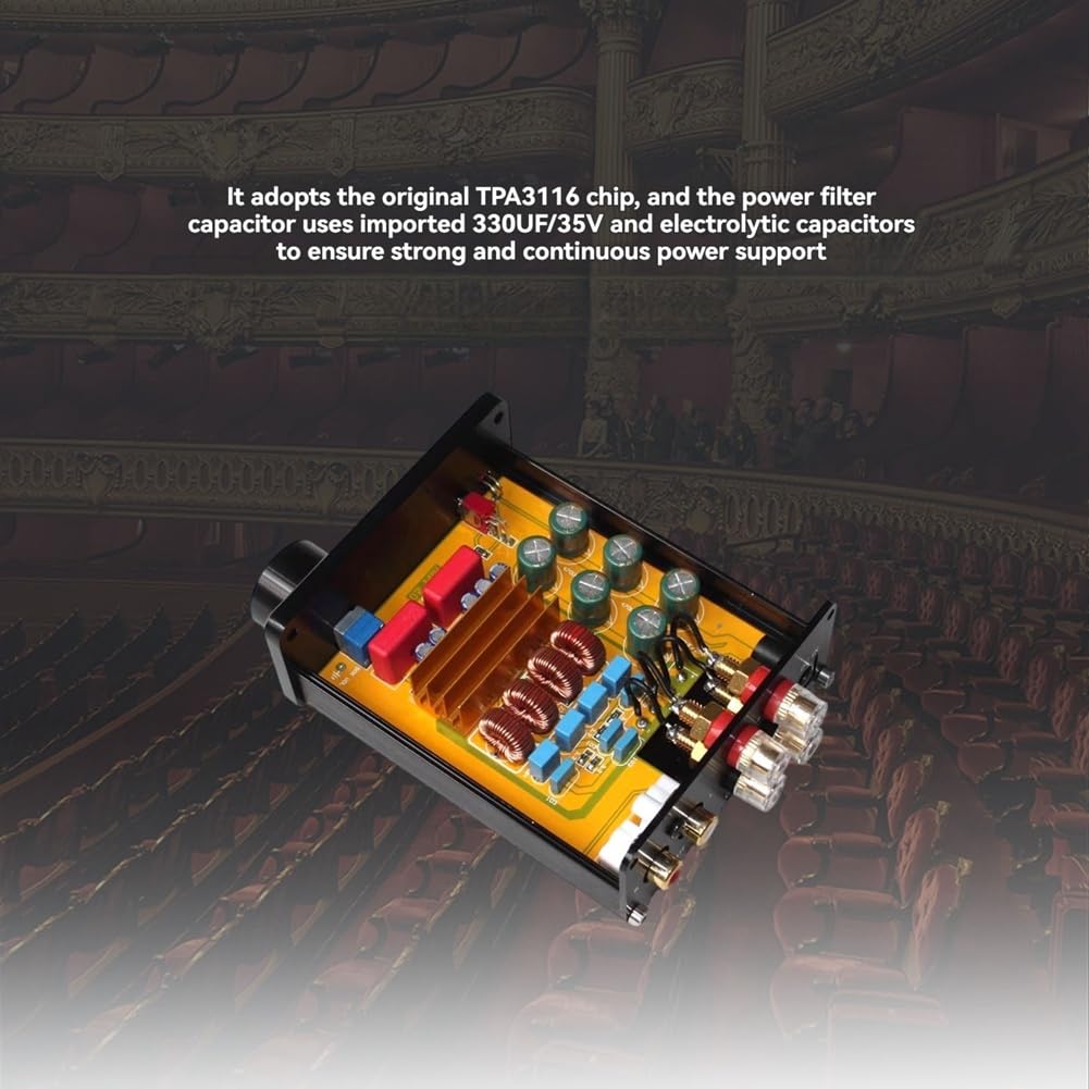 Mini Dual TPA3116 Digital Power Amplificateur 2.0 Channel 50WX2 HiFi STÉRÉO AMP Audiophile