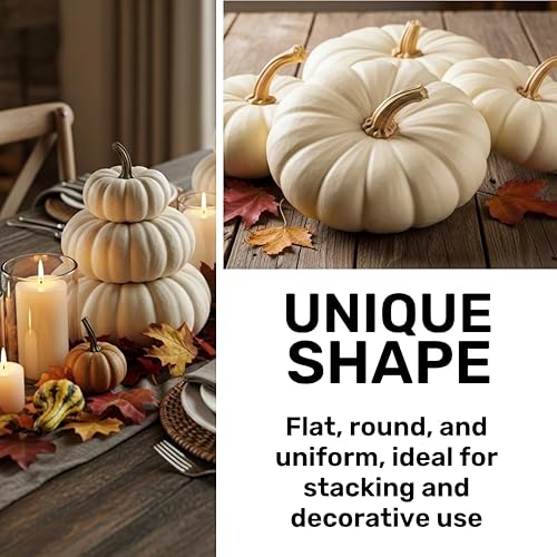 Miniatura 7 de Semillas de calabaza apiladoras planas blancas para plantar (10 semillas)