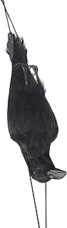 Sponsored Ad - Kitchie Boy Large Fake Dead Crow Decoy – 17 Inch Realistic Hanging Lifesize Black Feathered Garden Decoys -...