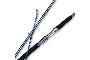 Fiblink 2-Piece Saltwater Spinning Fishing Rod: Your Gateway to Offshore Fishing Success
