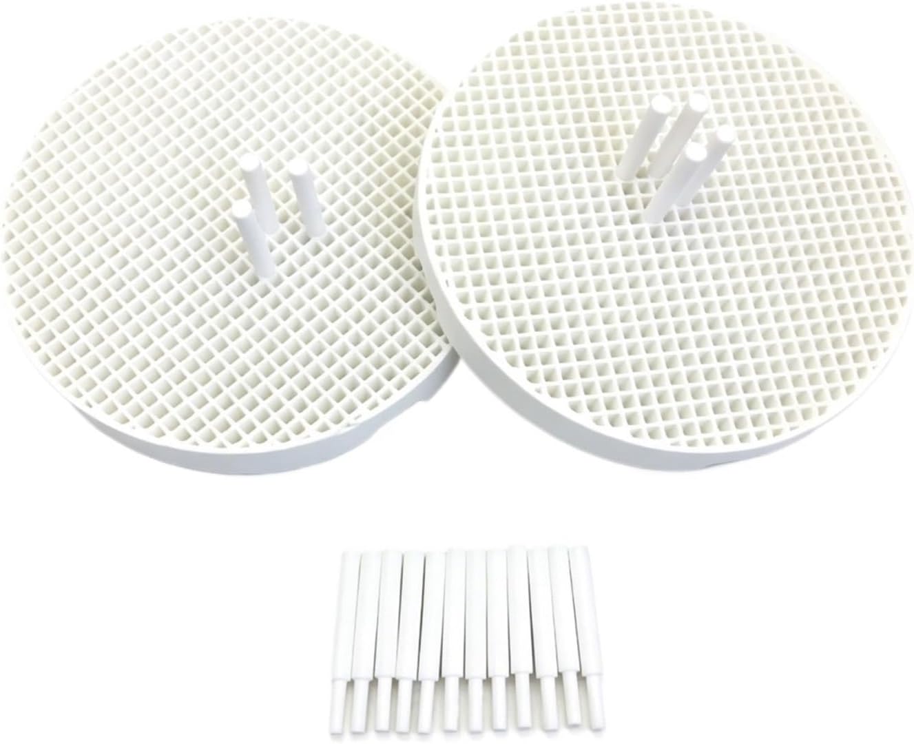 Dental Lab Honeycomb Firing Trays 2 Dental Lab Honeycomb Firing Trays with 20 Pins