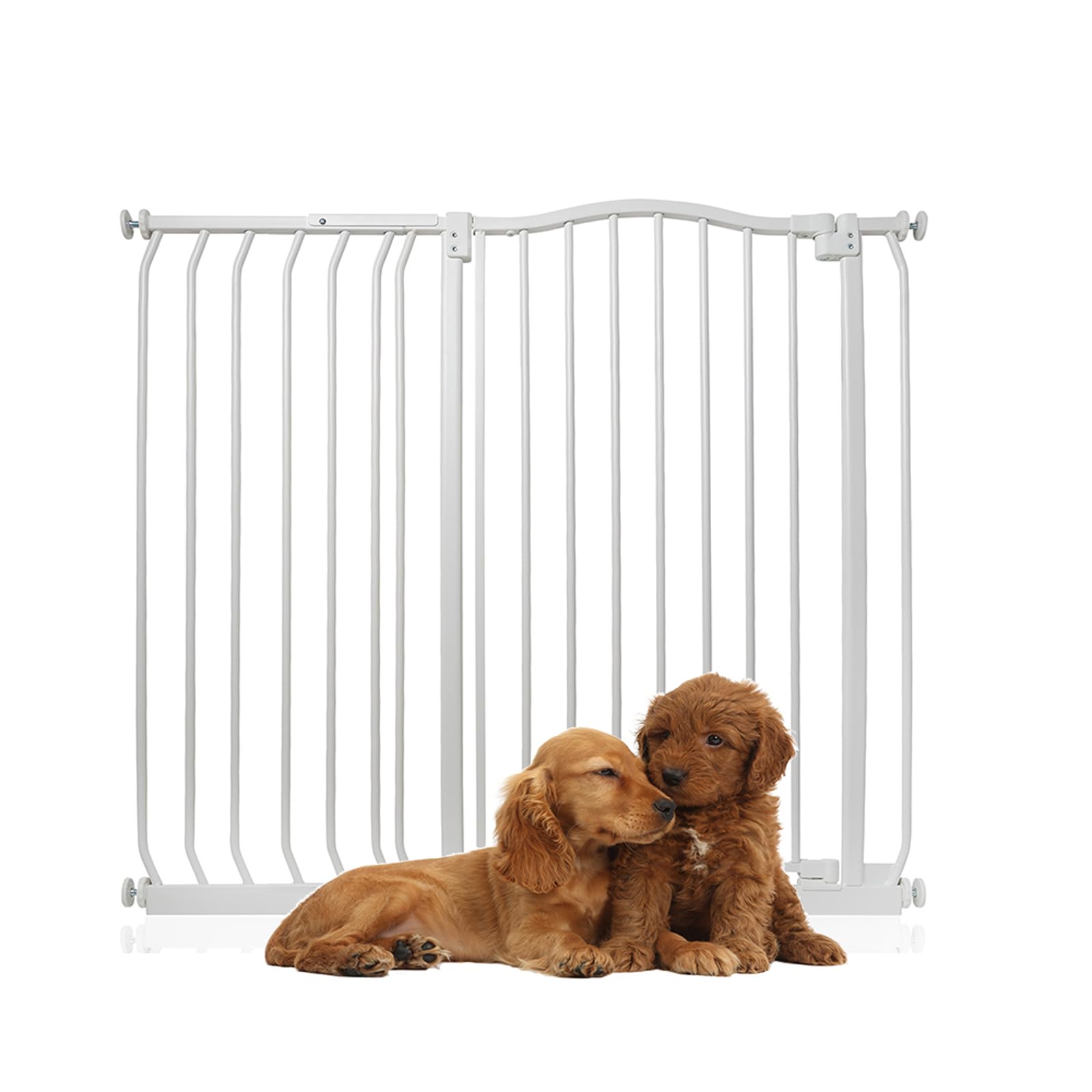 Bettacare White Extra Tall Curved Top Gate, 107Cm - 116Cm, Matt 100Cm Tall, Pressure Fit Pet Gate For Dog And Puppy, Easy Installation