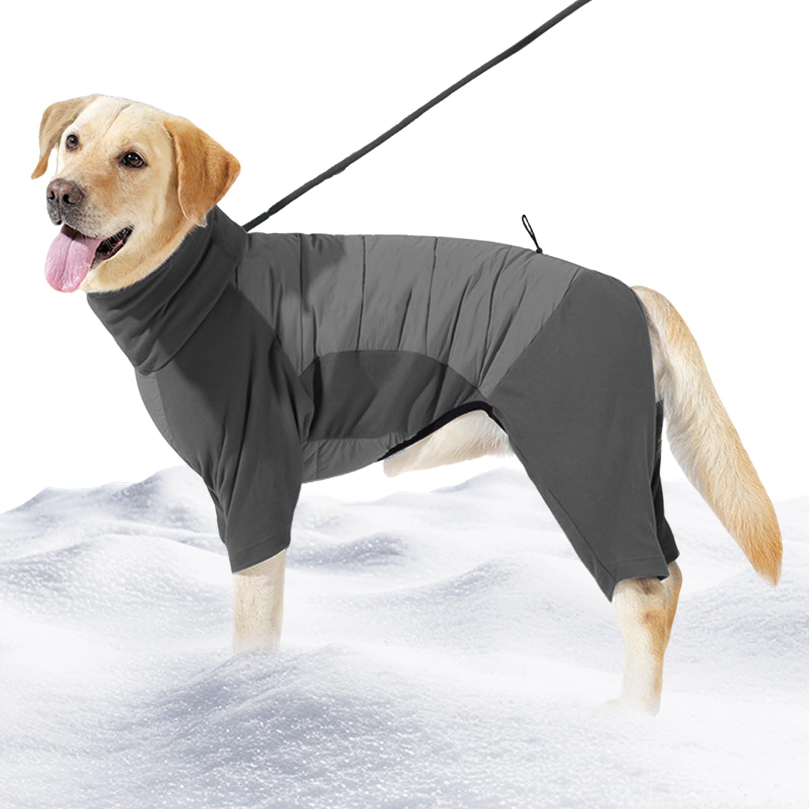Manteau d'hiver pour chien réglable pour vos randonnées et sorties en plein air