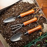 Vego Heritage Minimax Tool Kit (3-Piece Set) – Compact Stainless Steel Garden Hand Tools with FSC Ash Wood...
