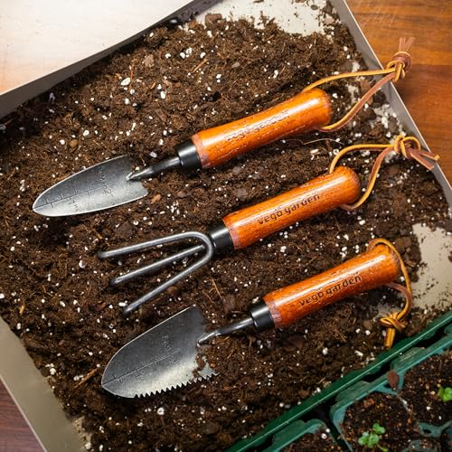 Vego Heritage Minimax Tool Kit (3-Piece Set) – Compact Stainless Steel Garden Hand Tools with FSC Ash Wood Handles, Mini Trowel Cultivator Weeder Set for Planting & Soil Work