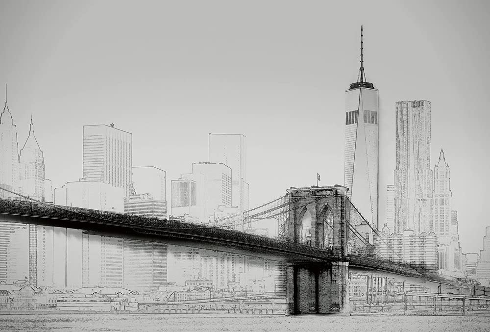 Papier peint photo New York Skyline noir et blanc | 3,84 x 2,6 m | Noir, blanc, gris