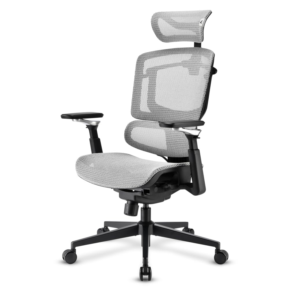 Sharkoon Officepal C50m B?rostuhl SchwarZ-Grau Gepolstert Netzr?ckenlehne 120 kg