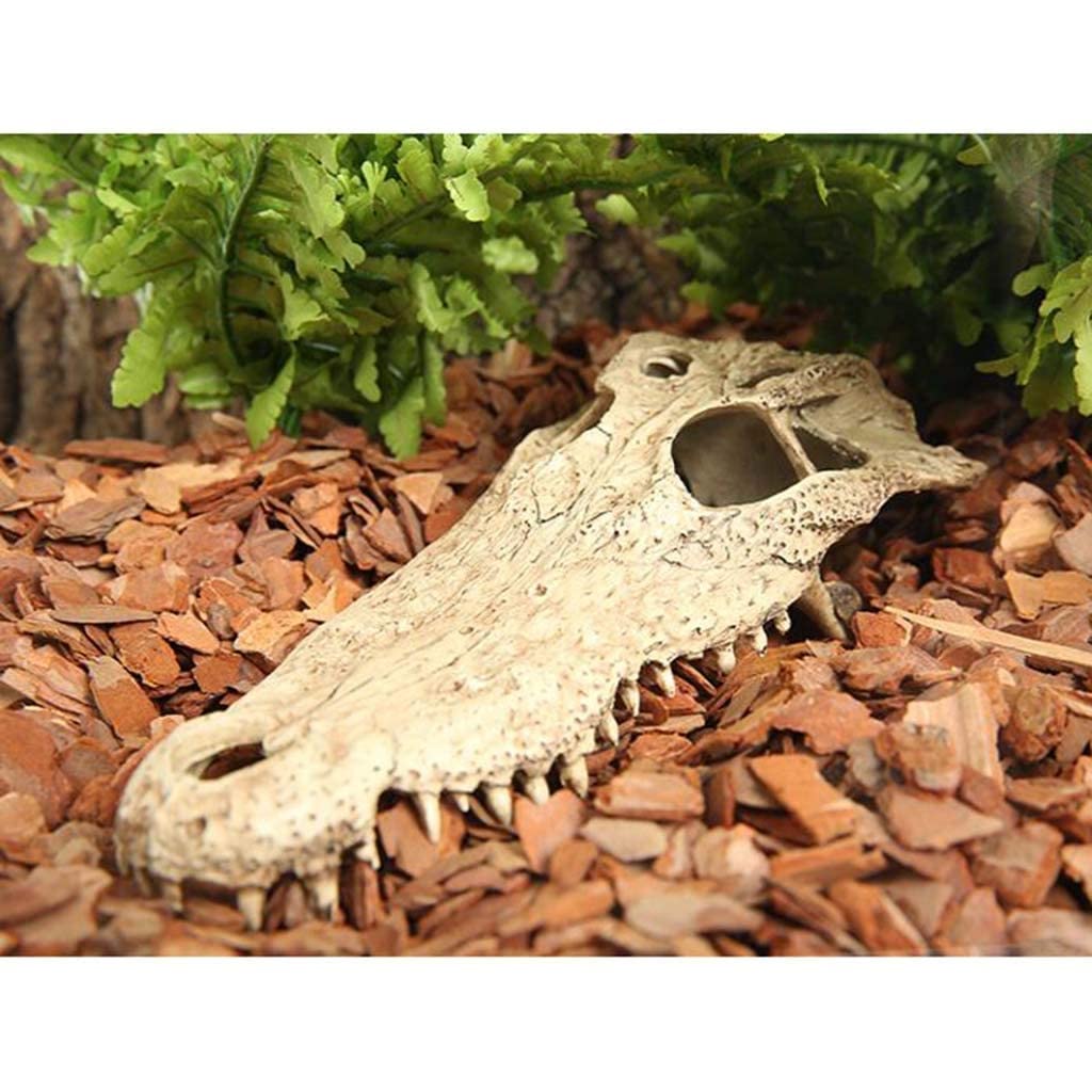 Escondite de reptiles con calavera de simulación, caja de cueva para reptiles, decoración de esquina de hábitat, escondites de camaleón, lagarto serpiente, accesorios para caja de reptiles, adornos