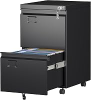 Aobabo 2 Drawer Lockable File Cabinet with Wheels & Business Card Slot - Metal Filing for Legal/Letter Size Home Office, Black