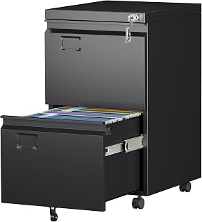 Aobabo 2 Drawer Lockable File Cabinet with Wheels & Business Card Slot - Metal Filing for Legal/Letter Size Home Office, Black