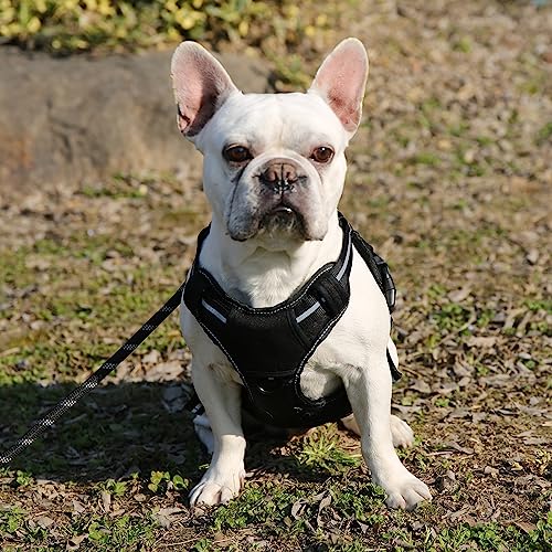 Amazon Basics Anti-Zieh-Hundegeschirr mit vorderem Clip, Westengeschirr, Schwarz, Groß