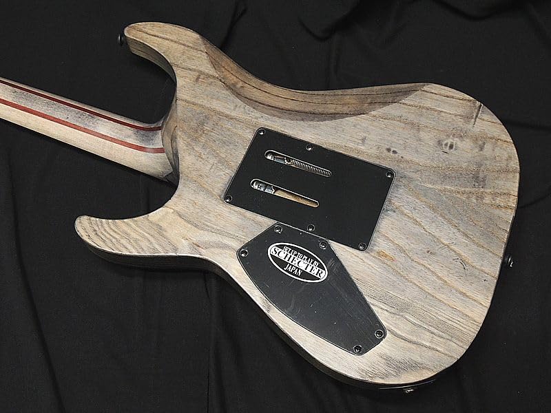 Amazon | Schecter AD-C-1-FR-APOC RG APOCALYPSE Rusty Grey