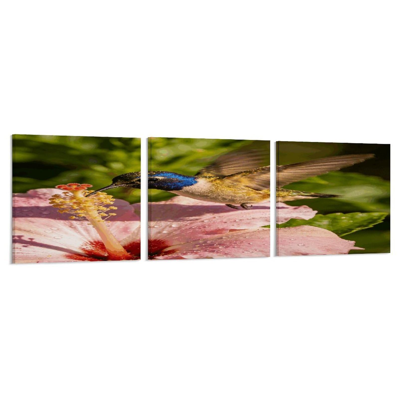 Khauerbc Style Set Of 3 Flower Fairy Wall Art，Paintings Artwork For Living Room, Hallway, Bedroom, Office Wall Decor For Living Room, Hallway, Bedroom, Office Paintings Artwork 8X8 Inch