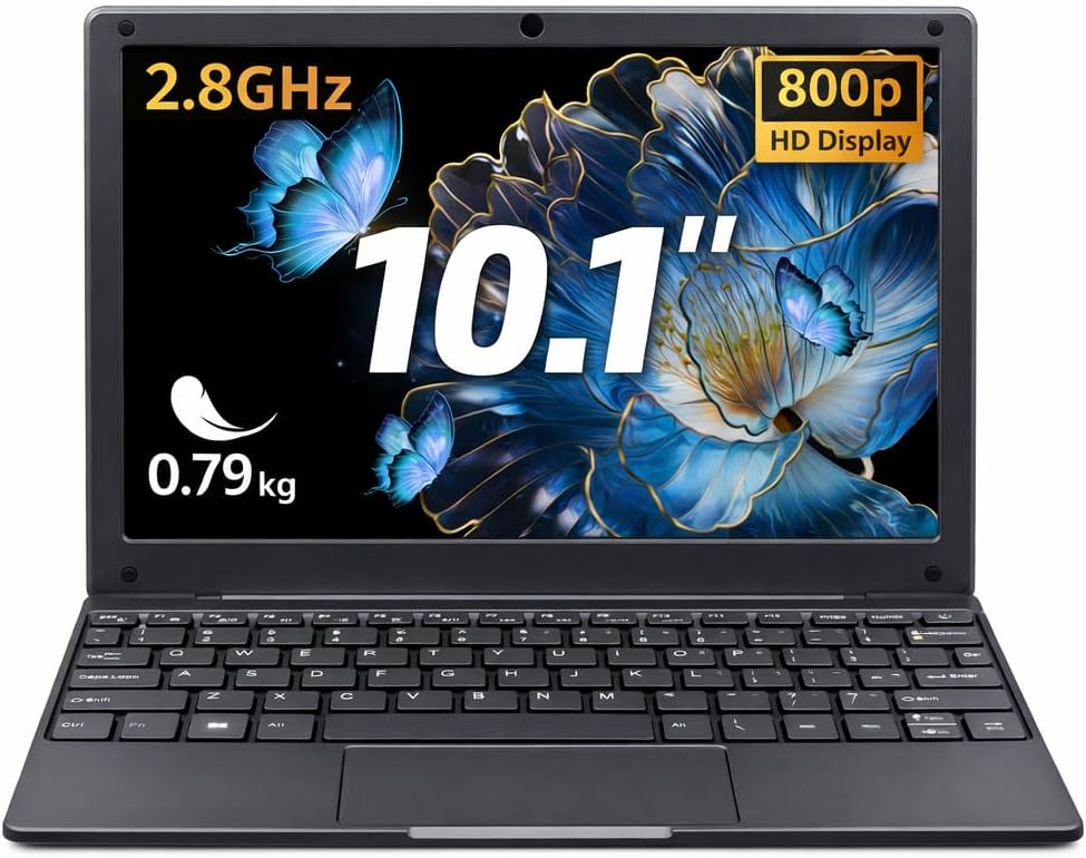 BINTEC 10.1 inch Ultra-Thin Portable Mini Laptop,Celeron N4000 Processor (up to 2.8Ghz), 8GB RAM DDR4,Weight only About 0.8Kg,Built-in Webcam, WiFi, Easy to Carry (Gray, 8G+256GB SSD)