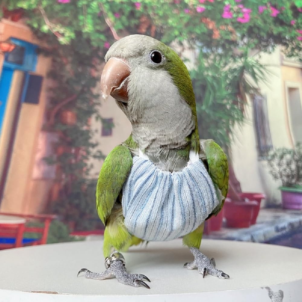 GSHYWFSSJ to Protect The Stomach and Belly Products of Birds, to Prevent Birds Pecking Feathers (2M)