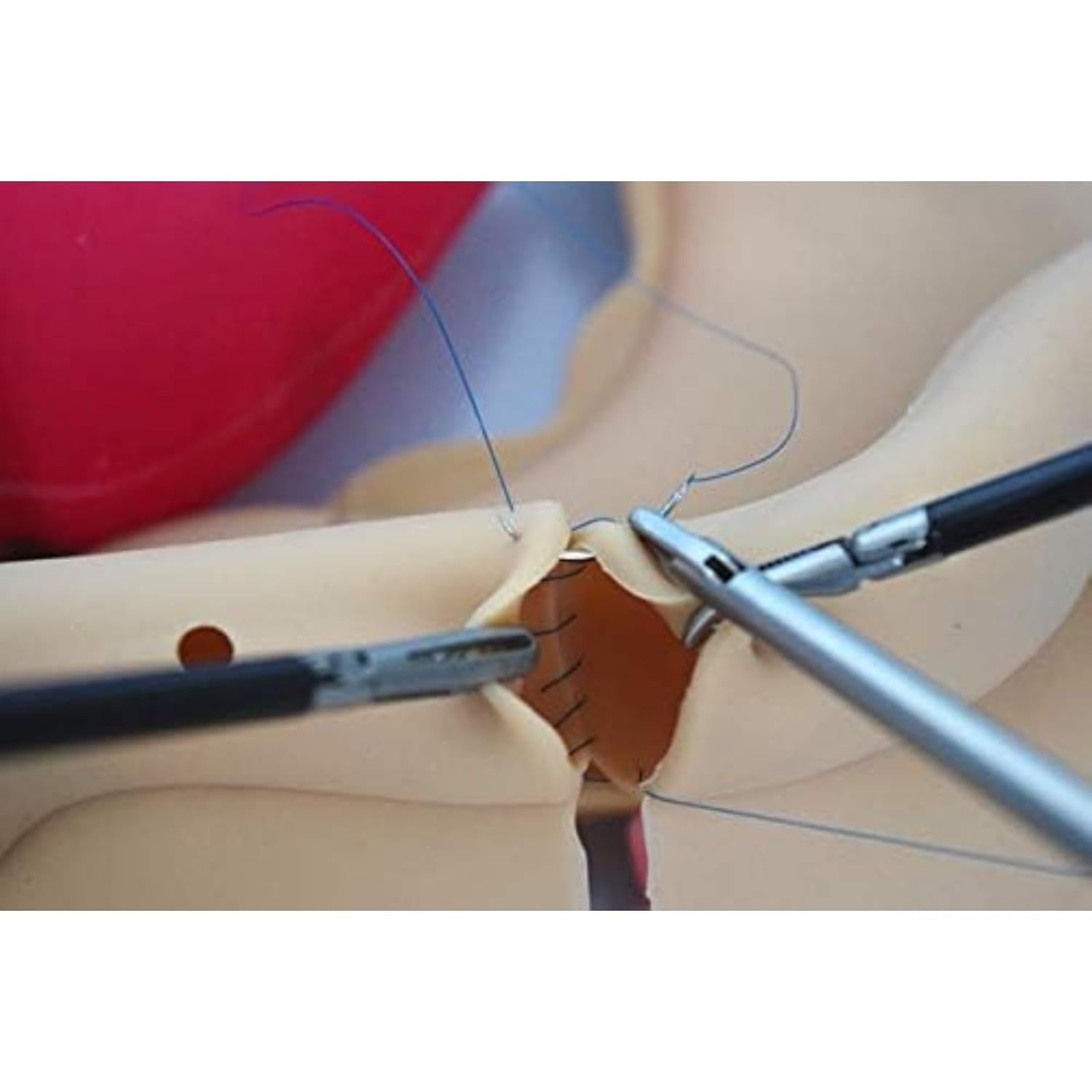 Laparoscopic Surgery Training Module, Urinary System Silicone Organ Model, 1: 1 Ratio Realistic Laparoscopic Trainer, Organic Flexible Hollow Model, for Medical Students Practice